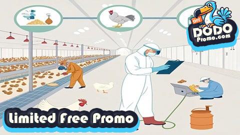 [Free Promo] Combating Bacterial Diseases in Poultry Farming:
