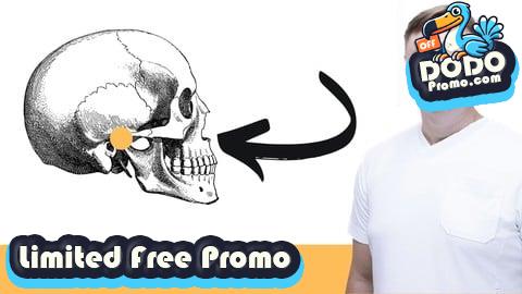 [Free Promo] Das Kiefergelenk verstehen - Werde dein Kiefercoach