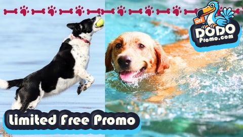[Free Promo] Dog Owners Guide to Groom,Train, Do CPR, First Aid, and More