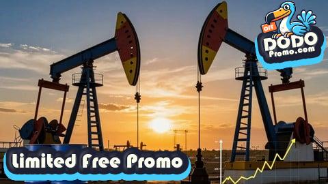 [Free Promo] Petroleum Economics: Projects, Value, Risk and Strategy