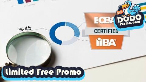 [Free Promo] Entry Certificate in Business Analysis (ECBA) Practice Test