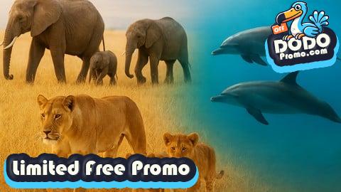 [Free Promo] Etholog in actiony: How Animals Think & Survive in the Wild