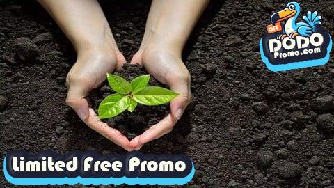 [Free Promo] ISO 14001 Implementation Step by Step With Templates