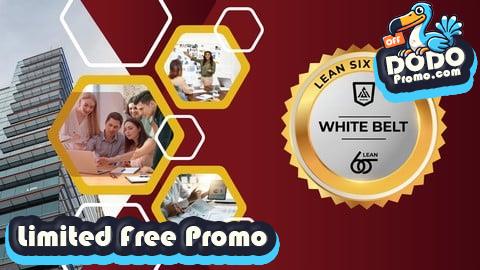 [Free Promo] Lean Six Sigma White Belt: Quality Improvement Basics -Hindi