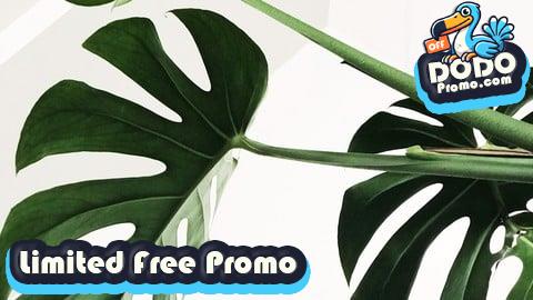 [Free Promo] Learn Classroom Leadership That Works