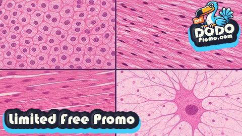 [Free Promo] Mastering Histology: Microscopic Anatomy Made easy