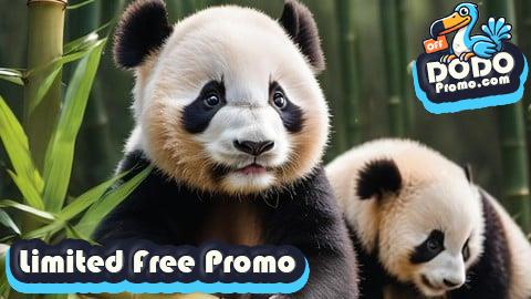 [Free Promo] Mastering Python, Pandas, Numpy for Absolute Beginners