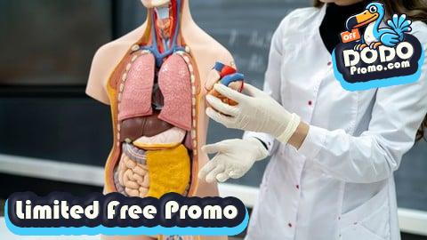 [Free Promo] Medical Coding Part 2: CPT Coding & Medical Billing Basics