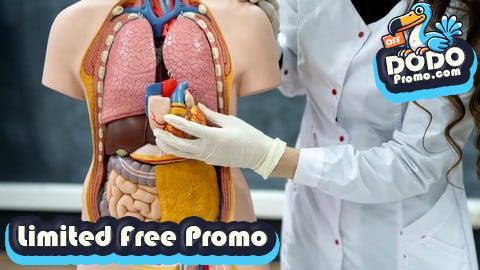 [Free Promo] Medical Terminology for Medical Coding, Billing & Healthcare