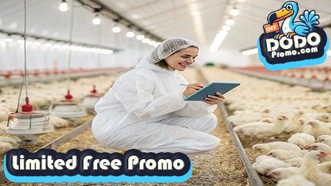 [Free Promo] Profitable Broiler Farming: Step-by-Step Guide