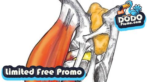 [Free Promo] Región femoro tibio rotuliana, anatomia, biomecanica y casos