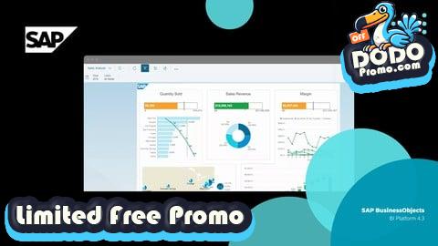 [Free Promo] SAP BusinessObjects Essential Training 2025