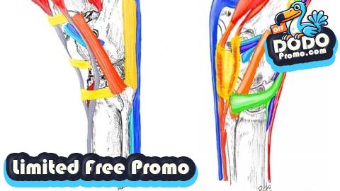 [Free Promo] Tarso equino, anatomia, biomecánica y casos clínicos