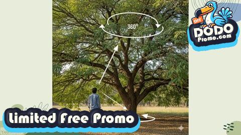 [Free Promo] Tree Risk Inspection Basics: Assessing for health and safety