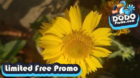 [Free Promo] Unlock the Secrets of Polynomials: Command On Algebra inside