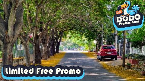 [Free Promo] Urban Tree Planting